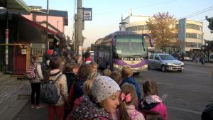 WP 20181018 08 44 29 Pro-min