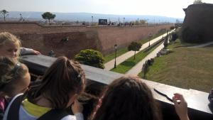 WP 20181018 13 22 28 Pro-min