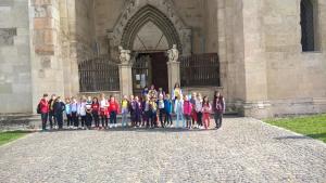 WP 20181018 13 39 47 Pro-min